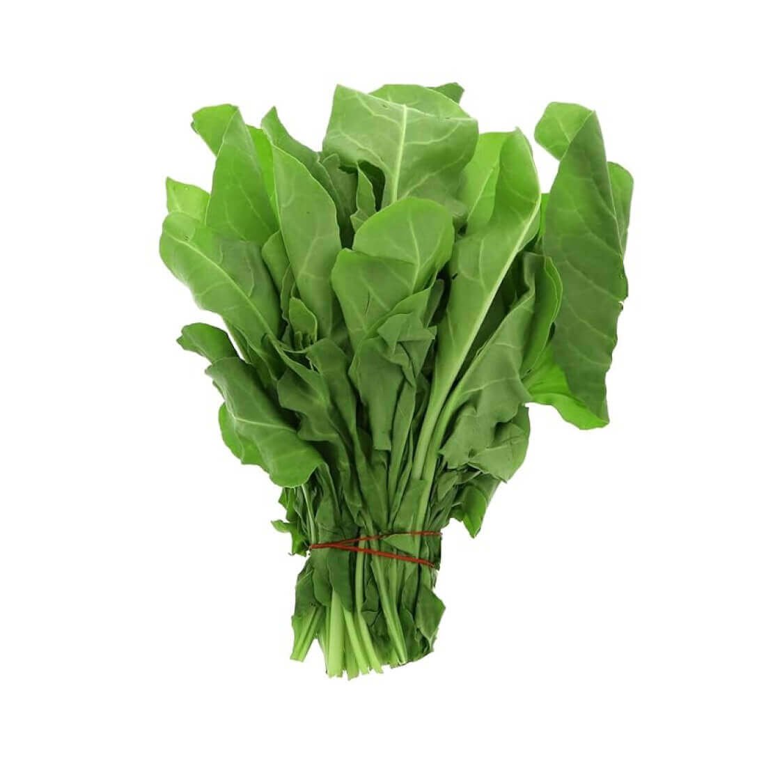Image-product-2.jpg