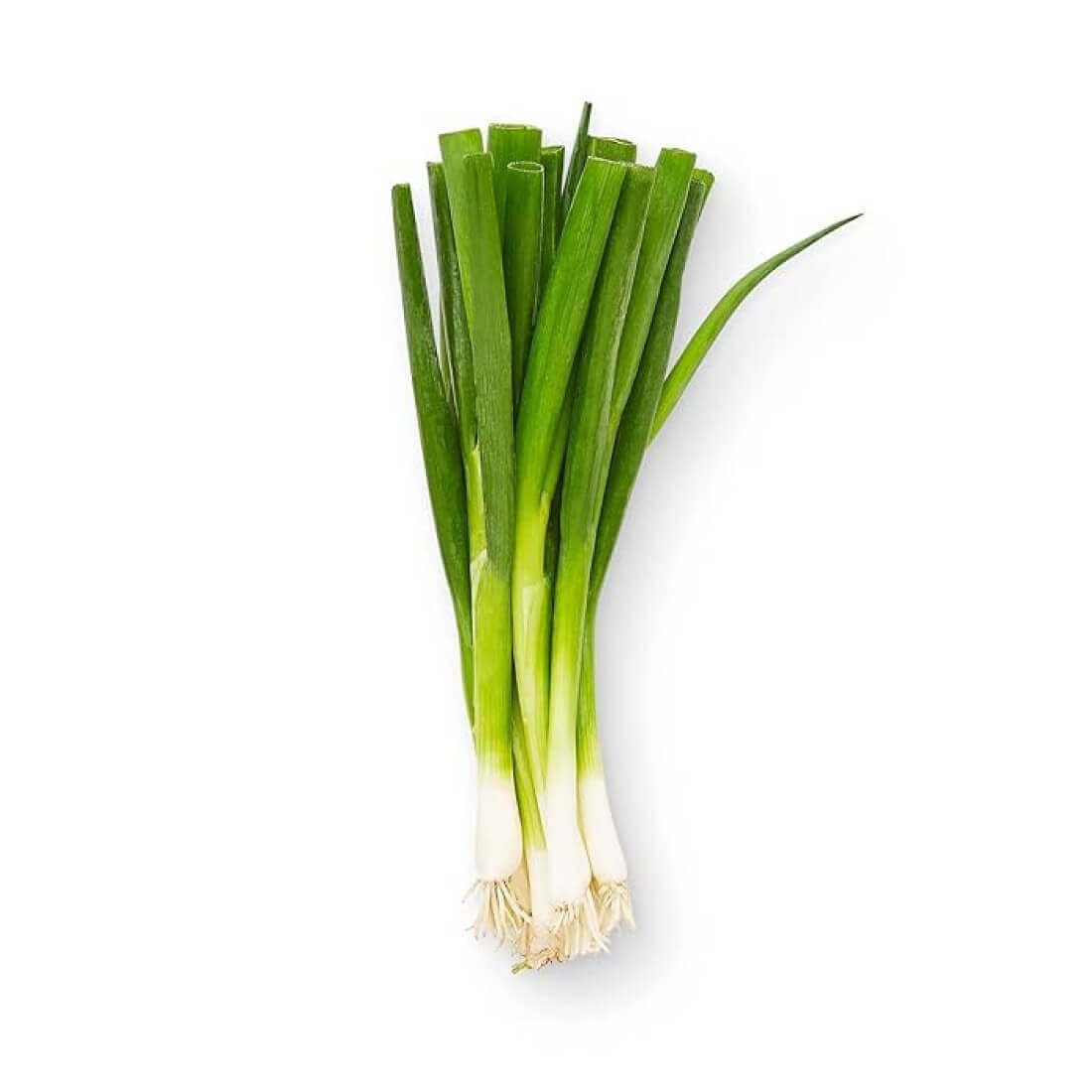 Image-product-7.jpg